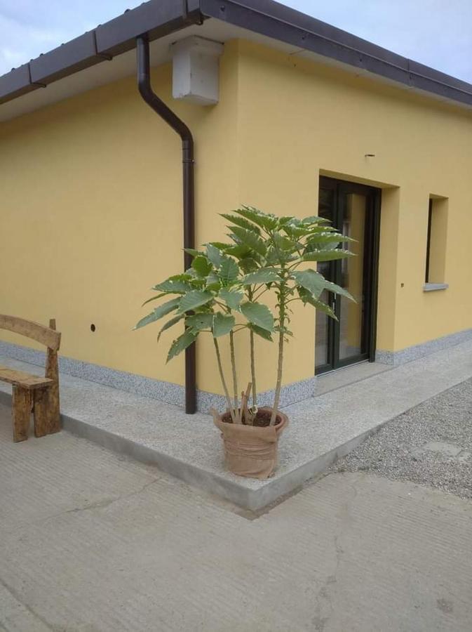 Azienda Agrituristica Scotti Somma Lombardo Exterior photo